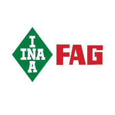 fag-ina